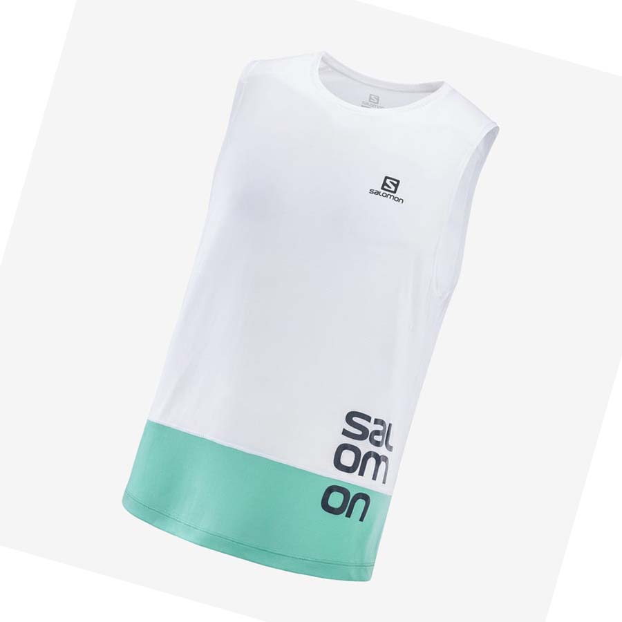 Camiseta Salomon CROSS RUN GRAPHIC Hombre Blancos | MX 3235PJJ